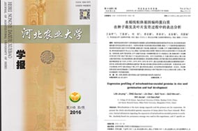 学校主页 · 网站首页