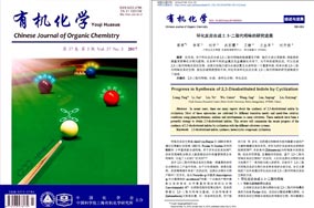 标准化流程与成功技术案例
