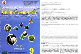 多宝体育