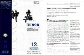 本页围绕「多宝体育官网优惠活动」整理