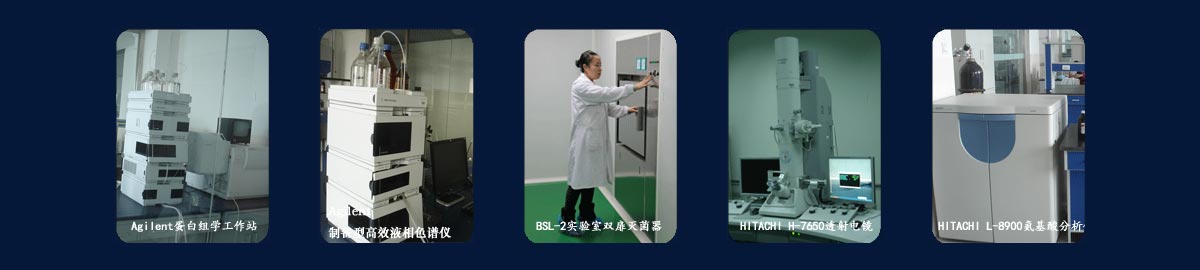 便于结合栏目动态与后续阅读