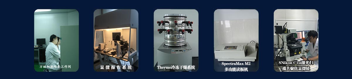 河北省张家口市高新区钻石南路11号 