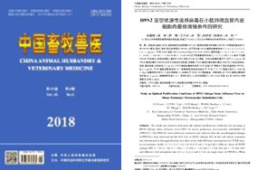 正文适合核对表述