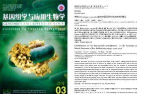 列表适合快速定位