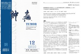 可改走栏目列表继续查找