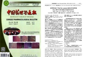 如某条暂不可用
