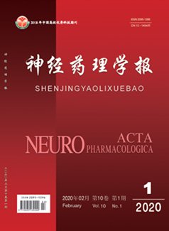 Copyright 2021 多宝体